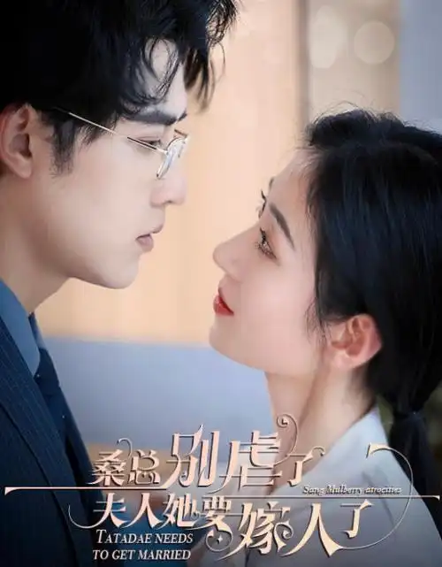 云上法庭律政剧全集免费看
